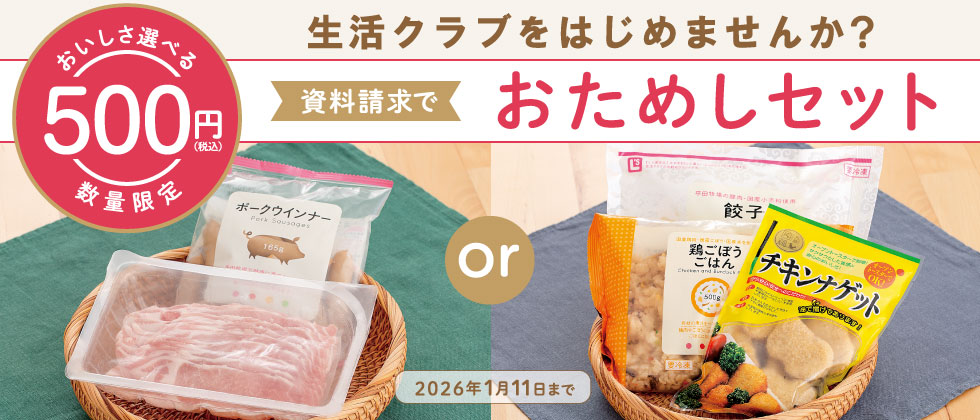 お試しキャンペーン500円