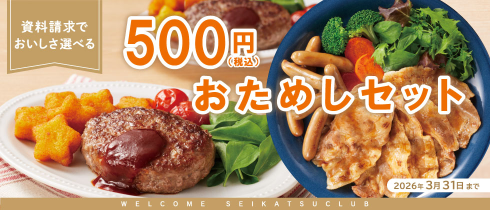 お試しキャンペーン500円