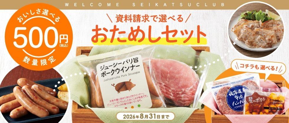 お試しキャンペーン500円