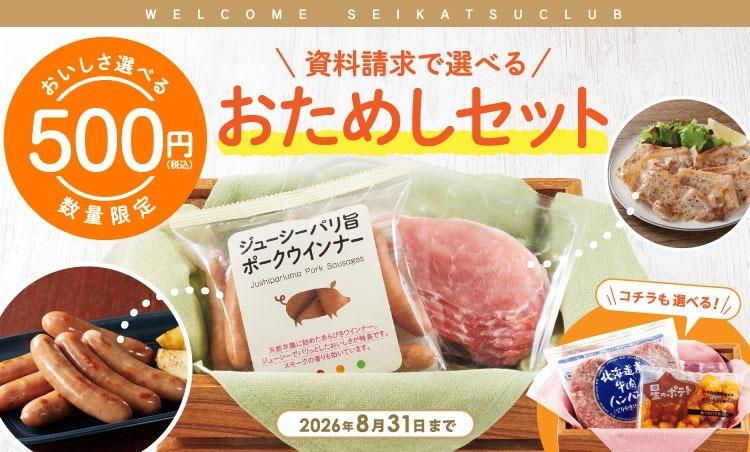 お試しキャンペーン500円